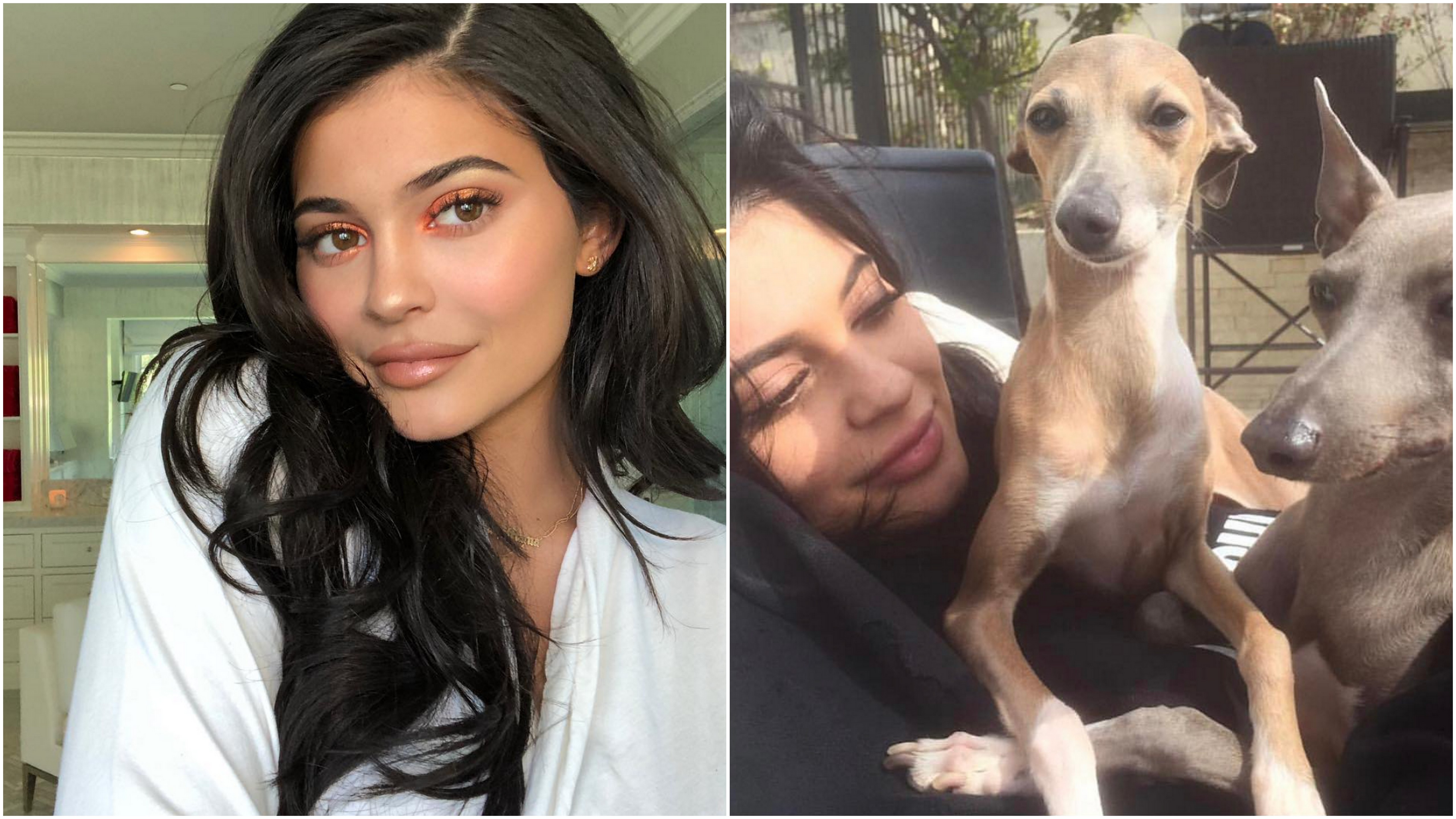 Kylie Jenner : découvrez la maison de ses chiens, avec clim et chauffage !