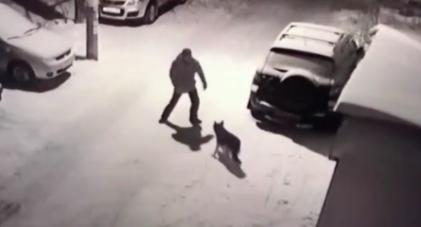 Cet homme tente d’agresser un chien et le karma fait son travail