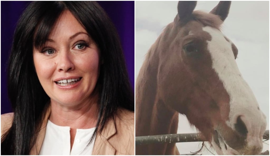 Shannen Doherty anéantie après la mort de son cheval dans d'atroces souffrances