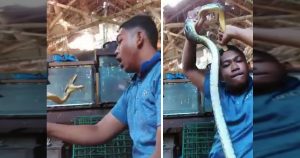 python serpent