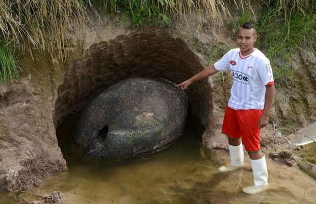 cet-homme-fait-une-decouverte-enorme-et-etonnante-sur-son-terrain-Glyptodon