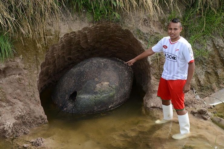 cet-homme-fait-une-decouverte-enorme-et-etonnante-sur-son-terrain-Glyptodon