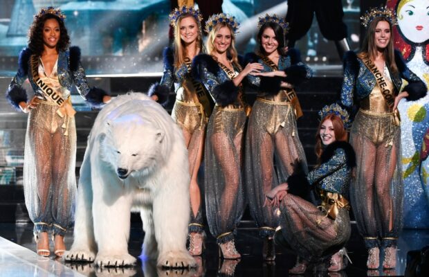 Miss France 2020 : l'ours n'était pas là par hasard