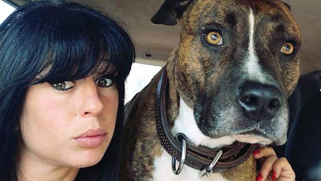 Mort d'Elisa Pilarski : le comportement de son chien Curtis sème le trouble