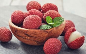 Le litchi, un fruit méconnu aux nombreux bienfaits