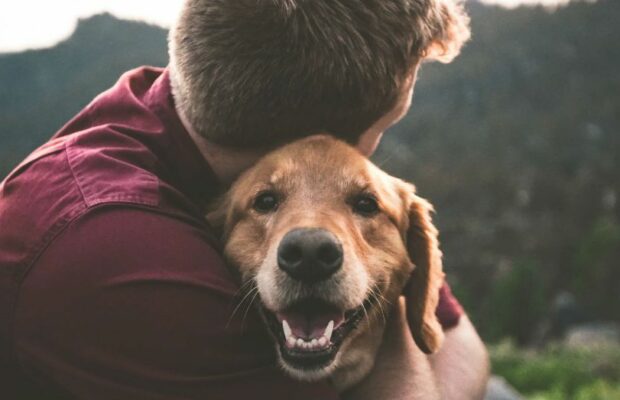 L’animal de compagnie choisi par votre homme peut vous en dire beaucoup sur lui