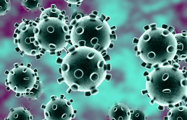 Quelle est la différence entre la grippe et le coronavirus et quel est le bilan aujourd'hui en France ?