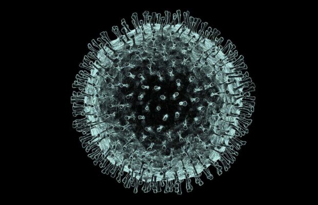 Coronavirus : malades, guéris, le bilan région par région.