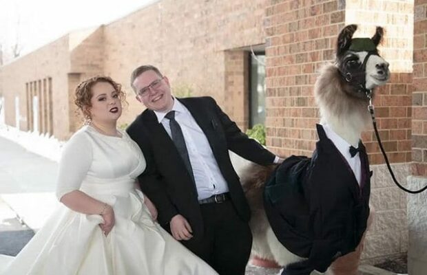 Il arrive au mariage de sa soeur avec un lama habillé en smoking
