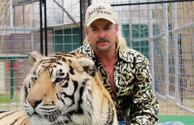 Joe Exotic : l’histoire du tueur de tigres qui voulait assassiner une militante de la cause animale