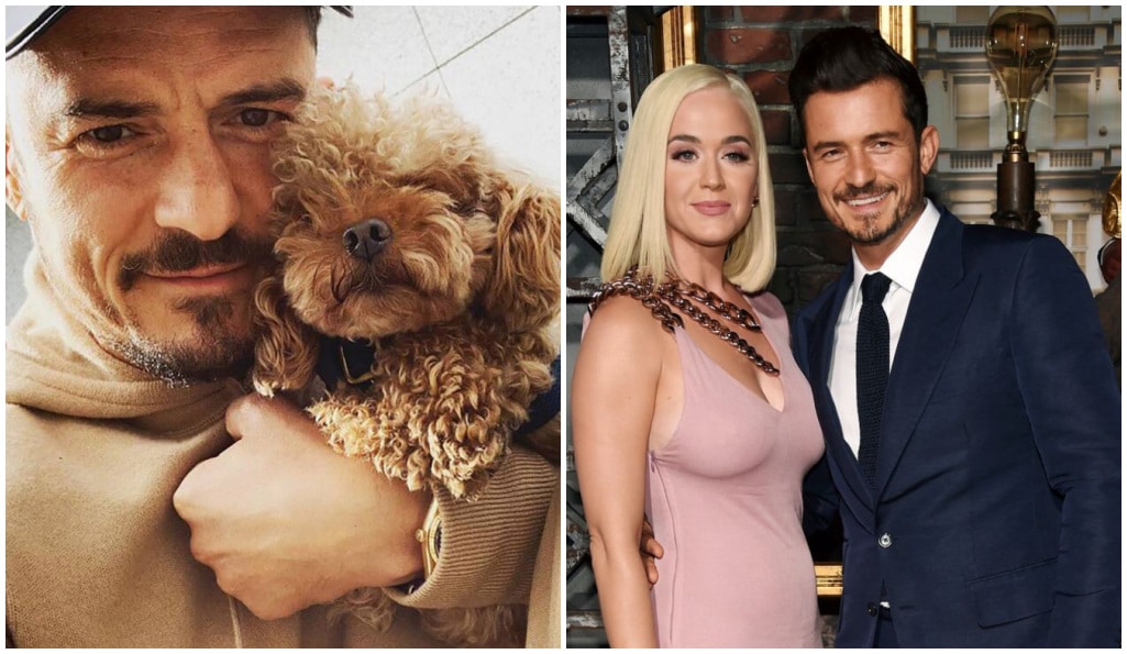 orlando-bloom-annonce-deces-chien-mighty-se-fait-tatouer-hommage