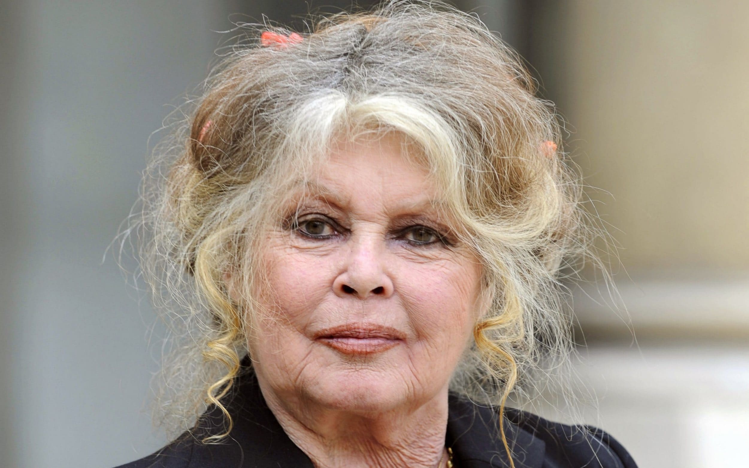 Brigitte Bardot : elle pousse un coup de gueule et tacle très sévèrement le gouvernement