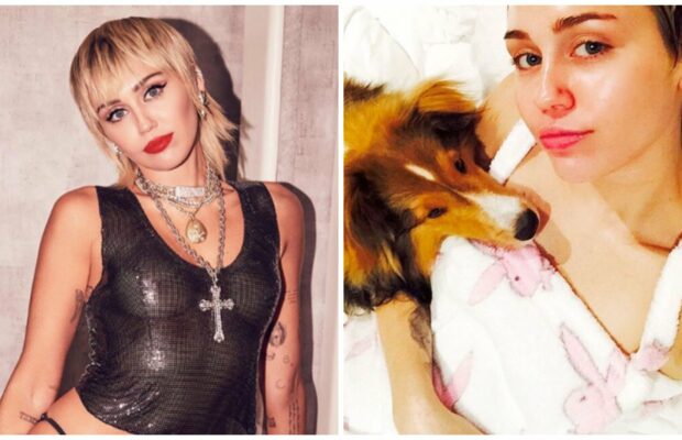 Miley Cyrus : sa chienne a été électrocutée