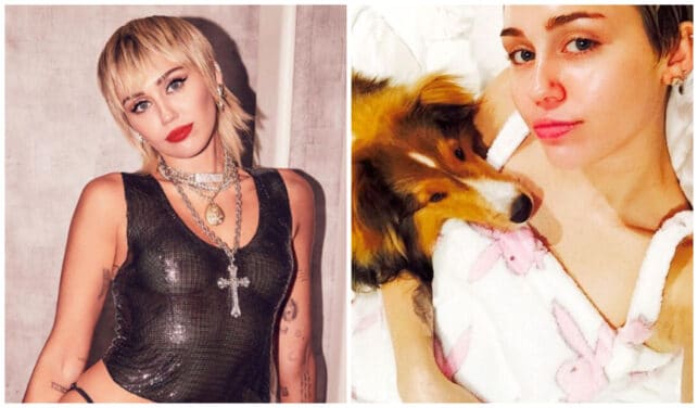 Miley Cyrus apeurée : sa chienne s’est faite électrocuter