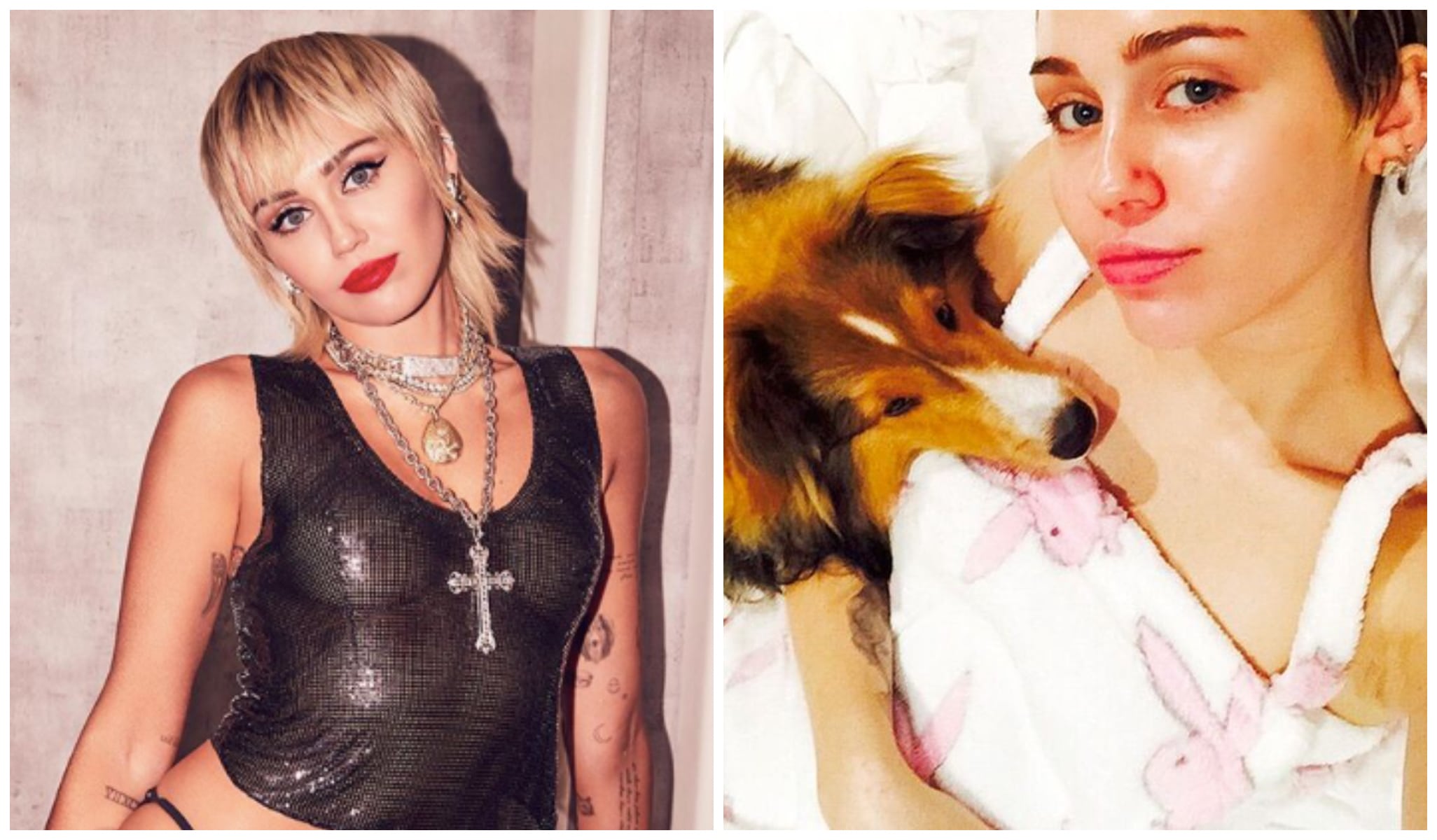Miley Cyrus : sa chienne a été électrocutée