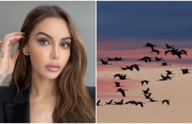 Nabilla : elle se fait lyncher après avoir relâché des oiseaux dans la nature