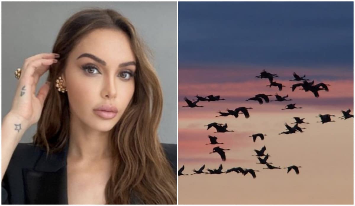 Nabilla : elle se fait lyncher après avoir relâché des oiseaux dans la nature