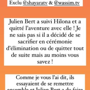 Hilona (LMvsMonde6) : éliminée du tournage, Julien Bert l'aurait suivie