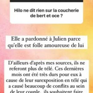 Julien Bert et Hilona seraient prêts à arrêter la télé-réalité pour sauver leur couple