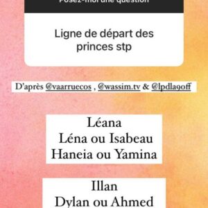 Les Princes et Princesses de l'Amour 9 : casting, date de diffusion… les derniers détails