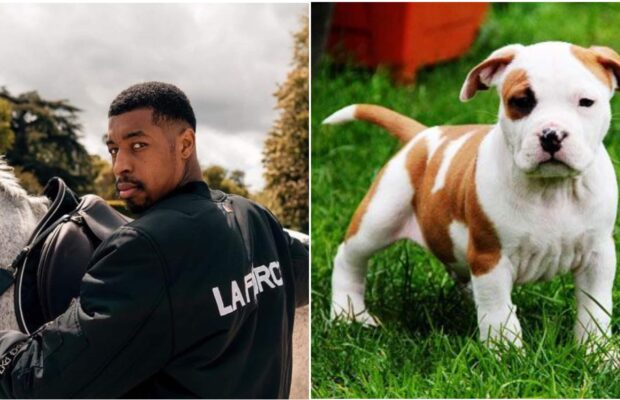 Un chien fortement battu en pleine rue appartenait au footballeur Presnel Kimpembe