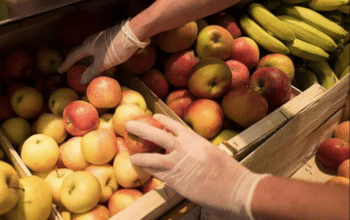 mains-avec-gants-courses-fruits-legumes