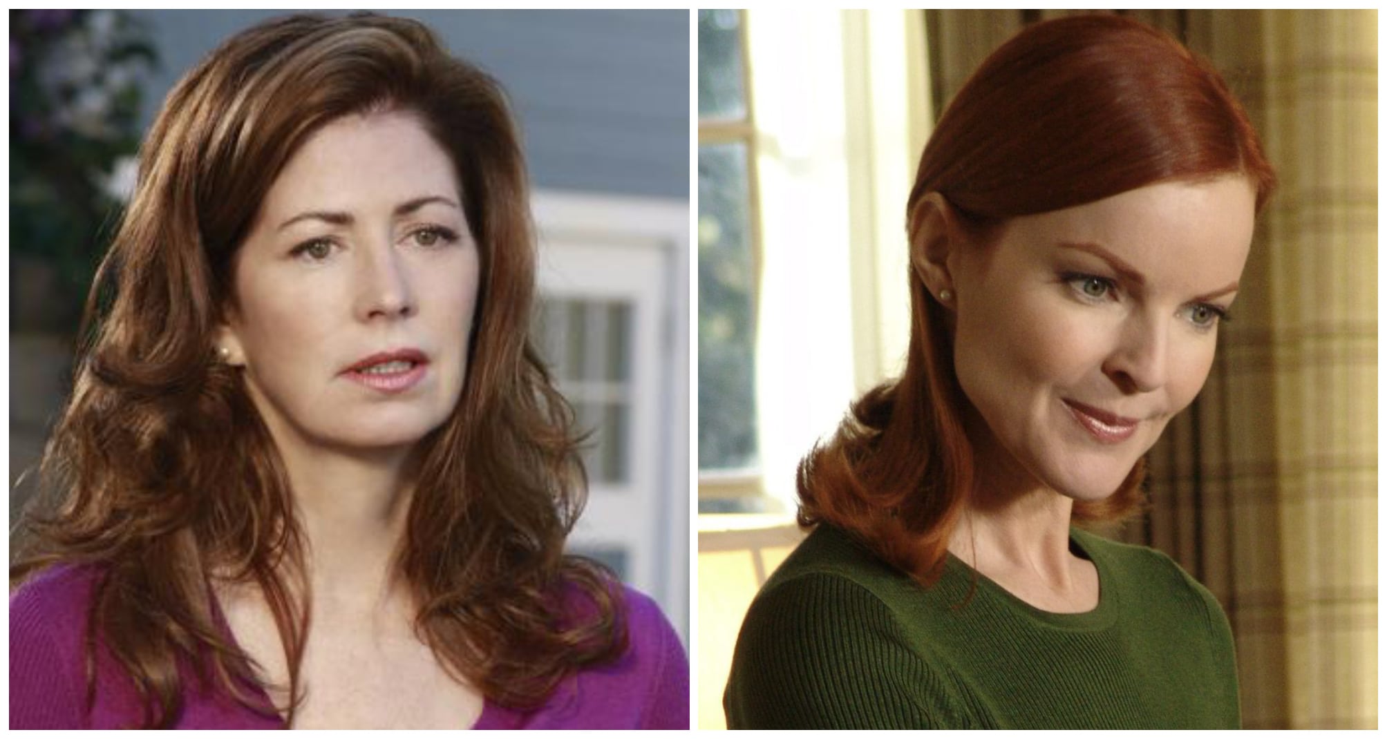 Desperate Housewives : Dana Delany a refusé à trois reprises le rôle de Bree Van De Kamp