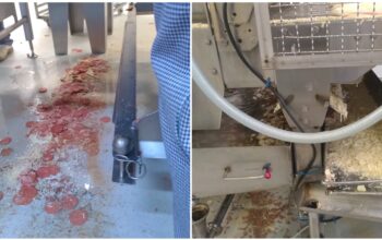 Pizzas Buitoni : les images déplorables des conditions d'hygiène au sein de l'usine de Caudry