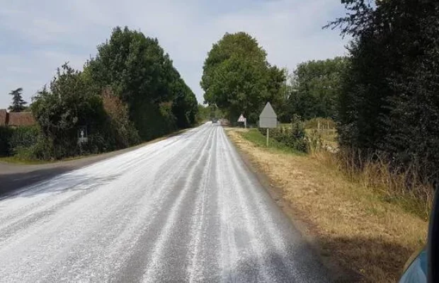 Canicule : vous risquez de voir du lait sur les routes départementales