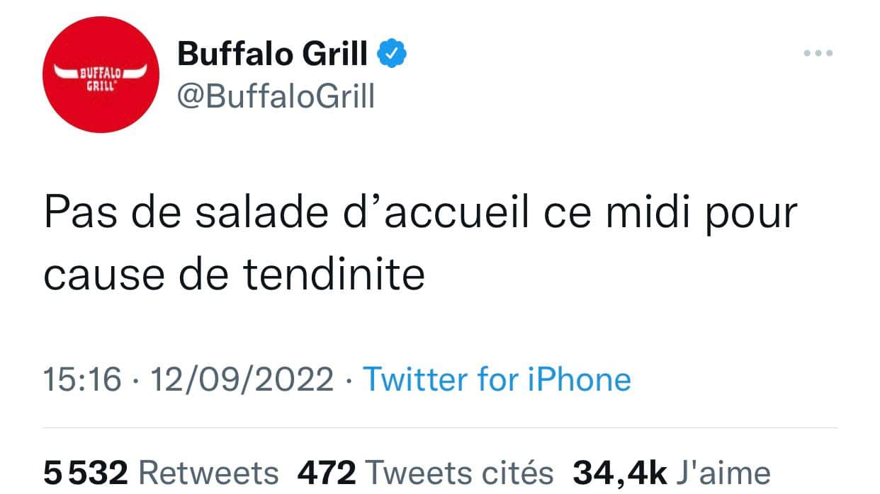 Magali Berdah : Buffalo Grill, Amazon… de célèbres enseignes se moquent de sa tendinite