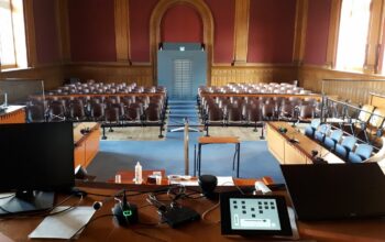 sophie-masale-demembreuse-toulouse