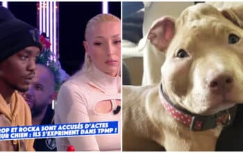 Le couple d'influenceurs accusé d'avoir torturé leur chiot s'exprime