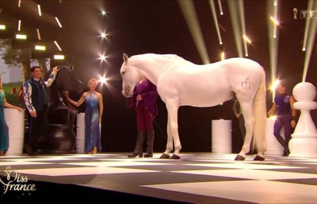Miss France 2023 : le cheval sur scène interpelle les internautes