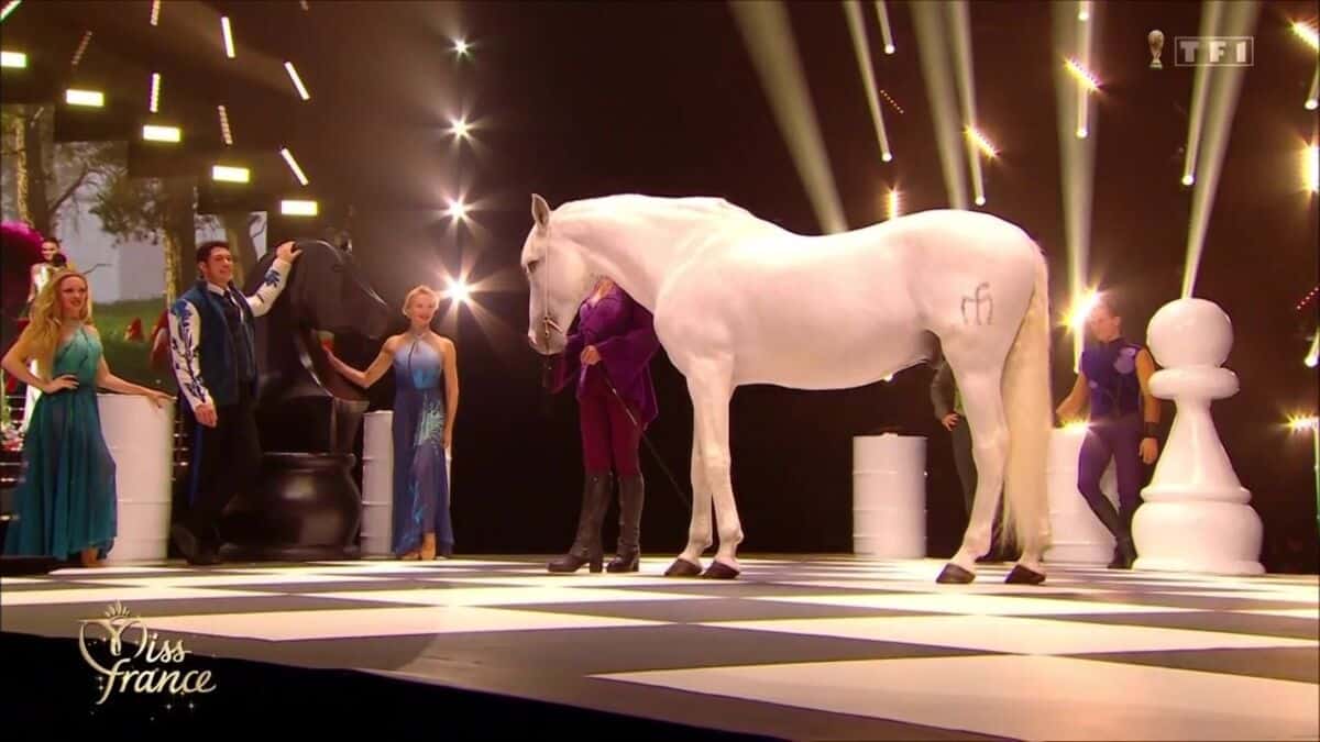 Miss France 2023 : le cheval sur scène interpelle les internautes