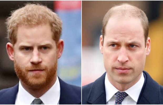 Le prince Harry raconte sa violente dispute avec son frère William