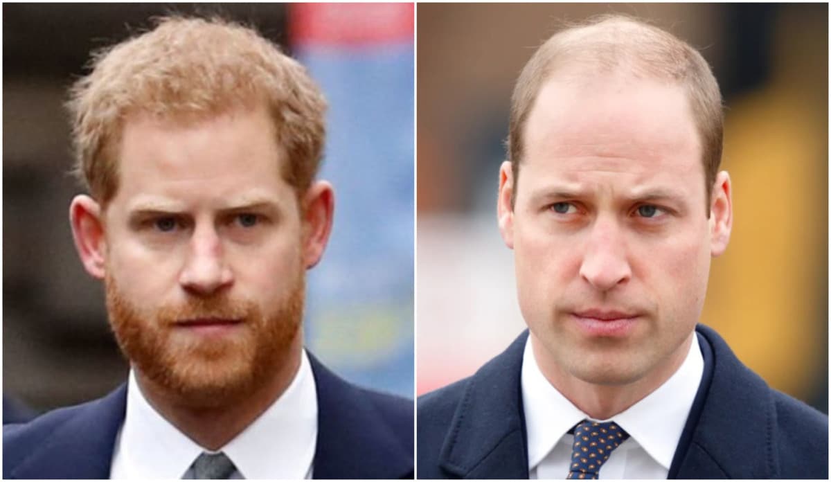 Le prince Harry raconte sa violente dispute avec son frère William