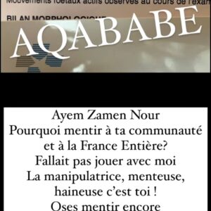 Ayem Nour : elle est accusée d'être rentrée en France pour avorter