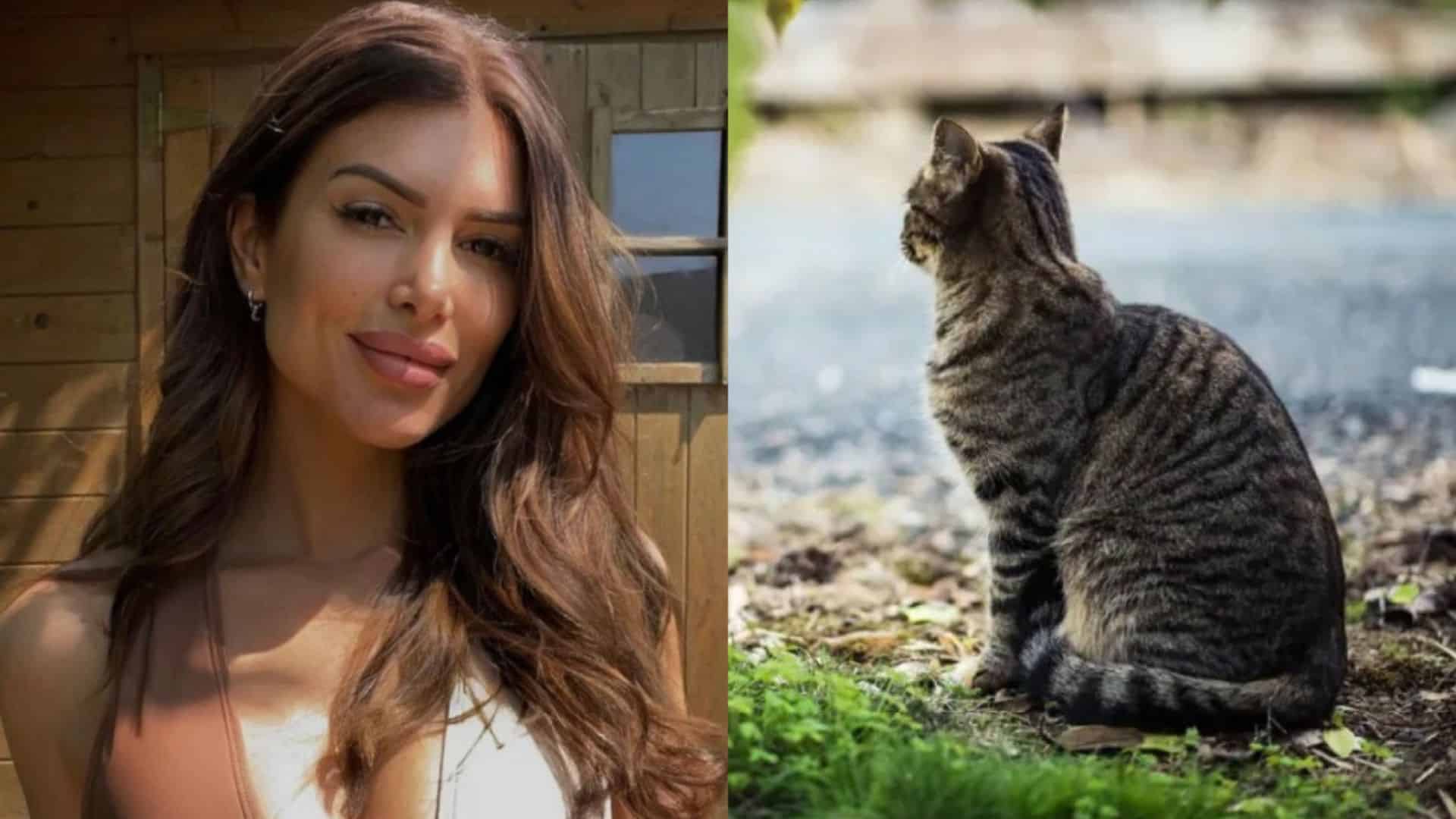 Maeva Martinez : son chat disparu, elle retrouve des ossements chez sa voisine