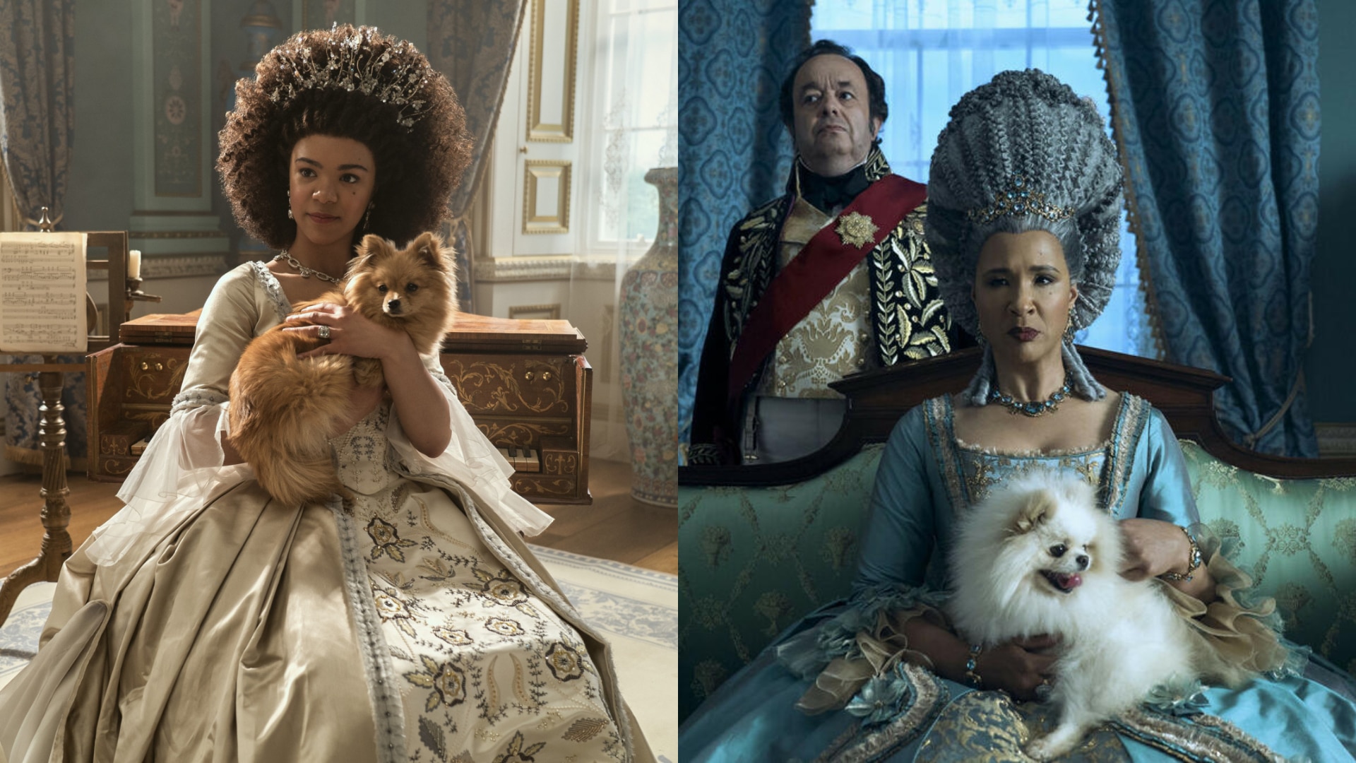La Reine Charlotte (Netflix) : prochainement une saison 2 ? La créatrice s'exprime