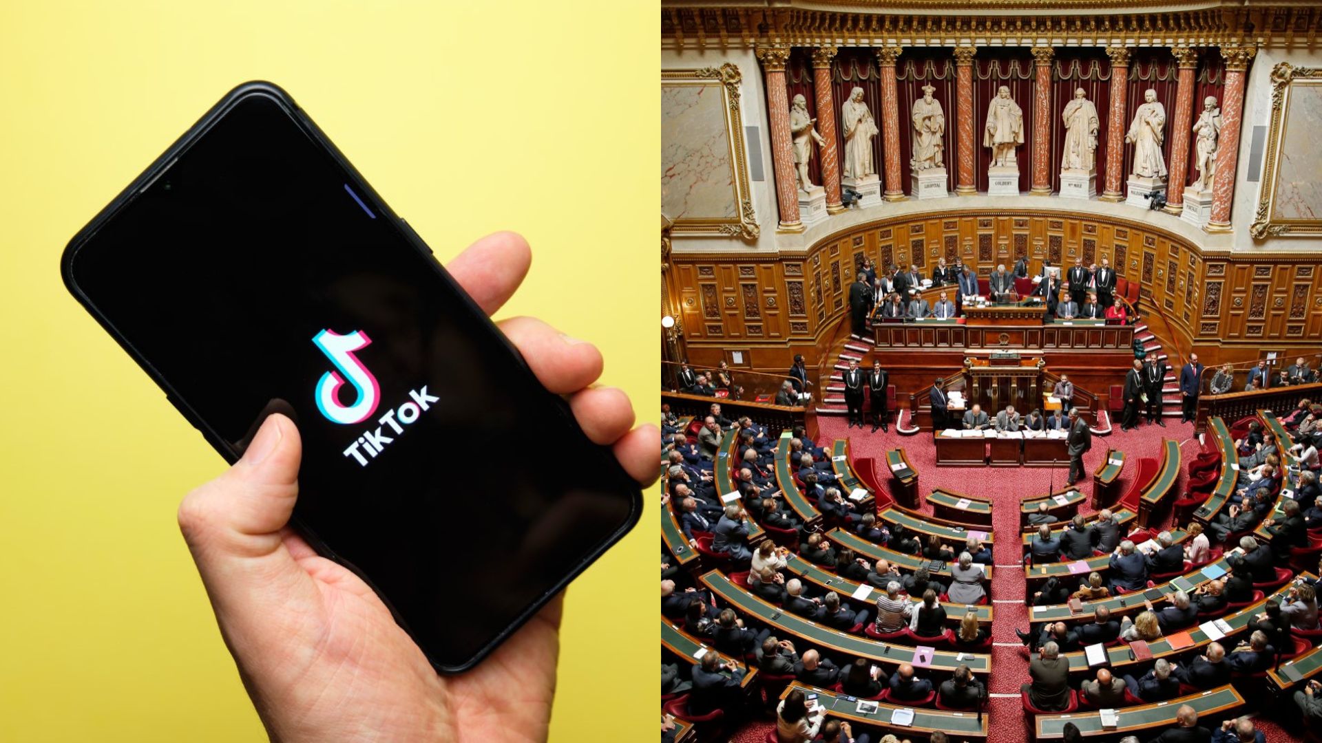 TikTok en France : bientôt interdit ? Le Sénat menace le réseau social avec un ultimatum