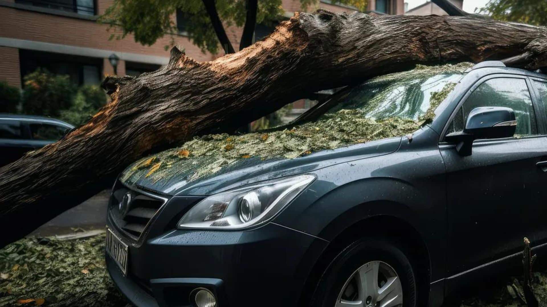 Menace de tempête la semaine prochaine : À quoi s'attendre en France ?