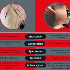 Piqûre de moustiques ou de punaises de lit : la différence