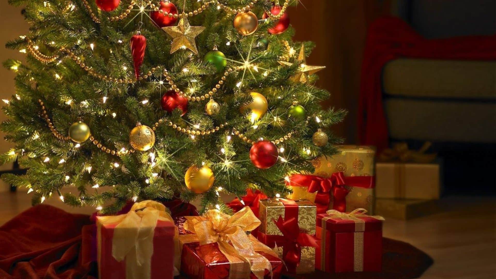 Prime de Noël : ce qu’il faut faire si vous ne l’avez pas reçue le 15 décembre