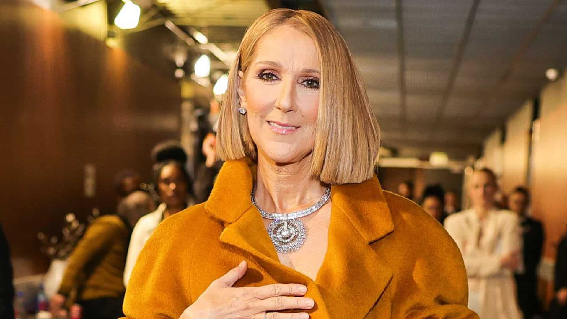 Céline Dion : 14 000 fans réclament le remboursement de leurs places de concert