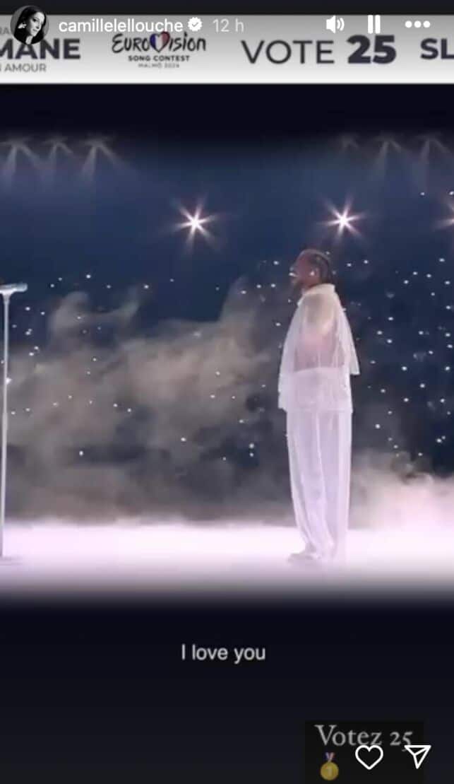 Eurovision 2024 : Slimane a reçu le soutien inattendu de Camille Lellouche