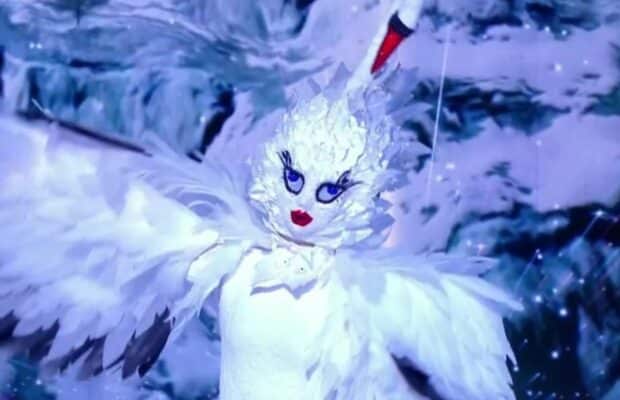 Mask Singer 2025 : voici tous les indices que l’on dispose à propos du Cygne