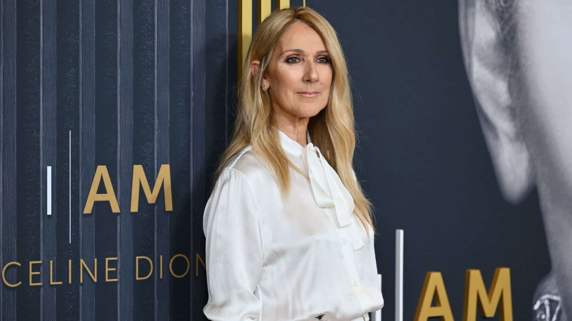 Céline Dion : la star de 57 ans pose en maillot de bain, ses fans sont complètement sous le charme
